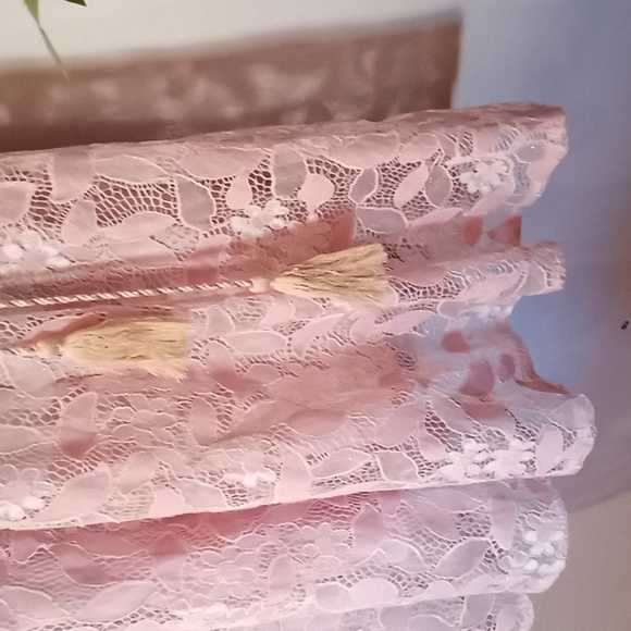 Blush Pink Lace Dress - Picture 7 of 12